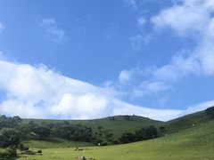-大姆山草场