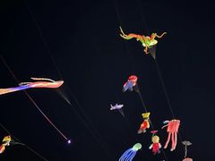 -巨鹏飞梦幻海岸