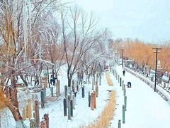 -葫芦古镇关东民俗雪乡
