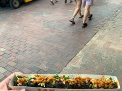 -董顺桃老长沙臭豆腐(步行街店)