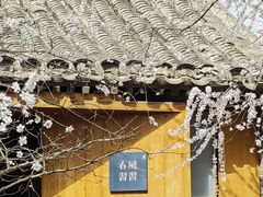 -春风习习