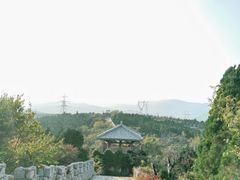 -原山国家森林公园