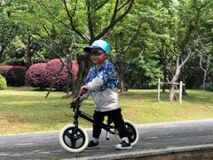 -苏州河梦清园环保主题公园