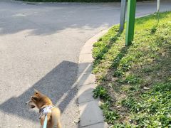-五环公园
