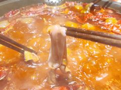 牛油红汤大锅-叉叉裤鲜火锅(空港新城店)