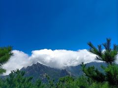 -崂山九水游览区