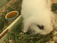 -龙猫仔乐园(惠福东路店)