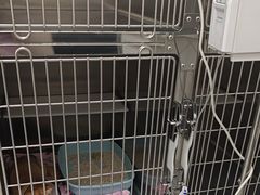 -宠颐生宠物医院·综合诊疗(先锋分院)