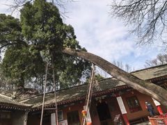 -少华山国家森林公园