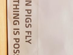 -WHEN PIGS FLY当猪飞