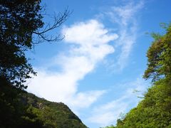-四明山国家森林公园