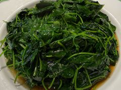 -阿莉餐厅(枣阳路店)