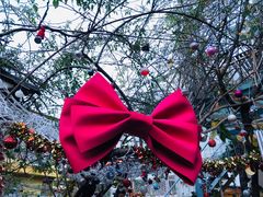 -喵屿·大理花园猫咖