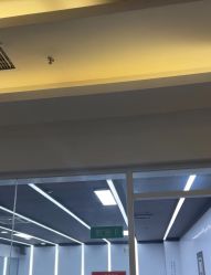 -单色舞蹈