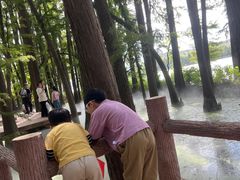 -东湖落雁景区