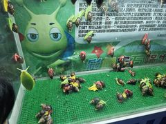 -海合安青岛极地海洋公园