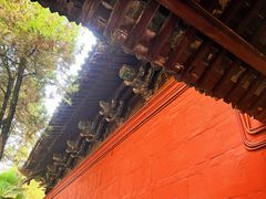 -洛阳白马寺