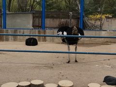 -森林公园(尖草坪区)