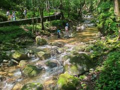 -牛背梁国家森林公园