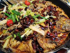 -老板恋上鱼(恒隆广场店)