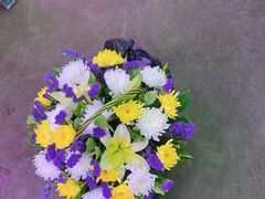 -花鸟鱼虫鲜花绿植市场(玉泉路店)