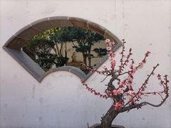 -檀园