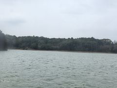 -鄱阳湖国家湿地公园