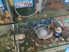 -Sasa的海(蜈支洲岛后海店)