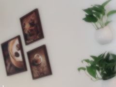 -WOW coffee