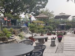 -蘇河湾·新鲁菜·泰山宴(泰山店)