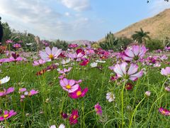 -三亚南山文化旅游区