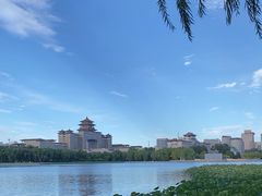 -莲花池公园