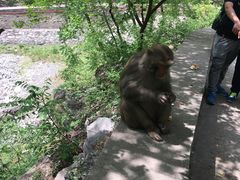 -北京上方山国家森林公园