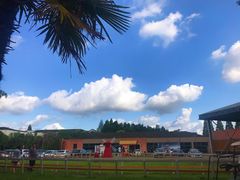 -太阳岛度假酒店