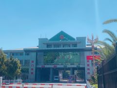 -打洛口岸