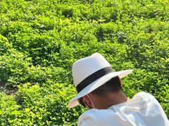 -白鹭湾湿地公园