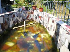 -千岛湖港湾鱼庄