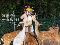 -济南野生动物世界