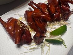-觅唐MITONG(鸟巢店)