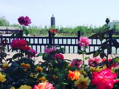 -西海子公园