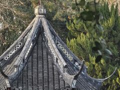 -上海醉白池公园
