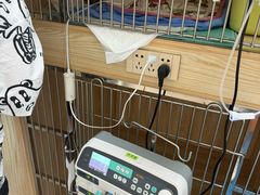 -派美特宠物医院·核磁CT·骨科肿瘤·疑难转诊(沈农禾丰店)