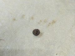 -阿明烧烤(石牌东路店)