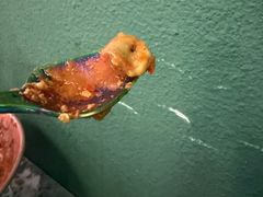 -浩海火烧云傣家菜(京广店)