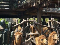 -长鹿旅游休博园