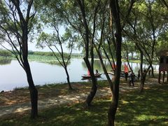 -洪湖生态旅游区