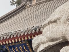 -大慈恩寺(大雁塔)