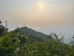 -紫金山山顶公园