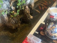 -粤点越有·茶点·粤菜(樵岭国际店)