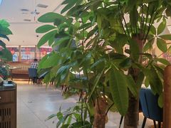 -悦海·家宴·冰花皮皮虾大锅贴(宝龙店)